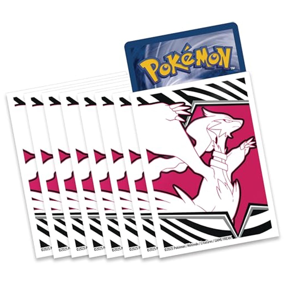 Buste Fuoco Bianco: Reshiram