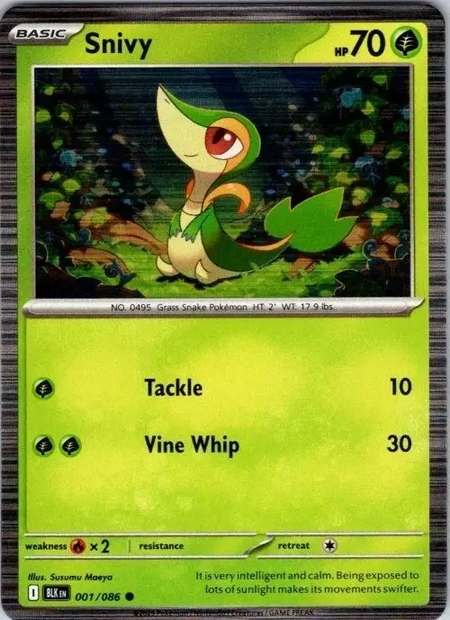 Snivy Card Front