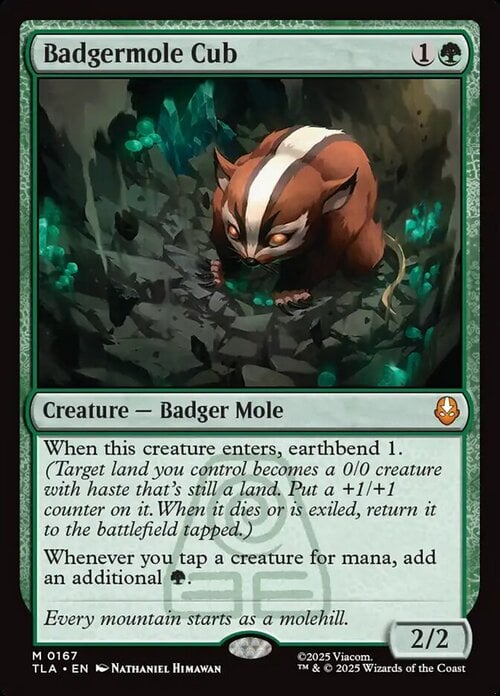 Badgermole Cub Card Front