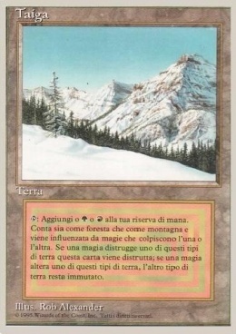 Taiga Card Front