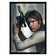 50 Buste Star Wars: Han Solo Rogue