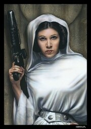 50 Star Wars: Princess Leia Sleeves