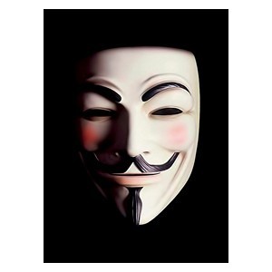 50 Fawkes Sleeves