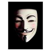 50 Fawkes Sleeves