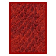 50 Buste Dragon Hide