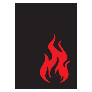 50 Iconic Fire Sleeves