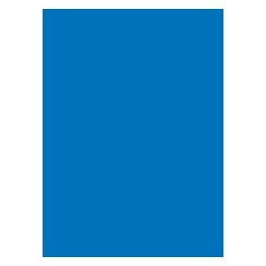 50 Legion Double Matte Sleeves (Blue)