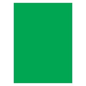50 Legion Double Matte Sleeves (Green)