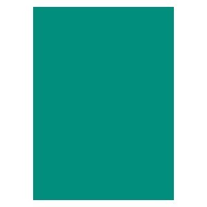 50 Legion Double Matte Sleeves (Turquoise)