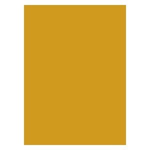 50 Legion Matte Sleeves (Gold)
