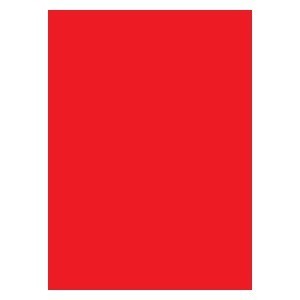 50 Legion Matte Sleeves (Red)