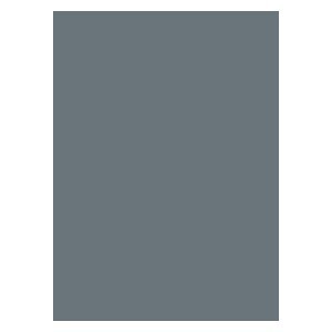 50 Legion Matte Sleeves (Silver)