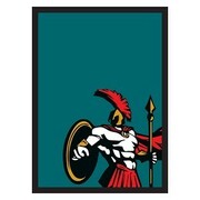 50 Buste Legionaire