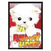 50 Buste Puppy Luvin'