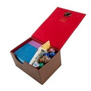 Dex Protection Creation Line Medium Deck Box (Brown)