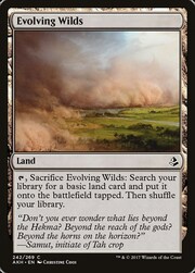 Evolving Wilds