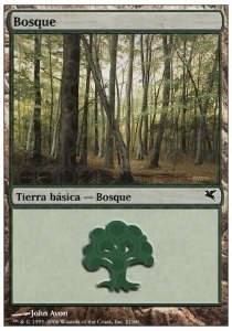 Forest Card Front