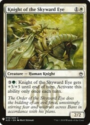 Knight of the Skyward Eye