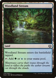 Woodland Stream