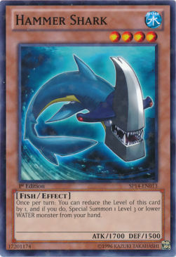 Hammer Shark Card Front