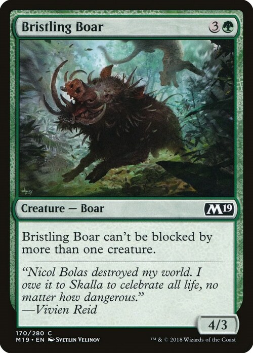 Bristling Boar Card Front