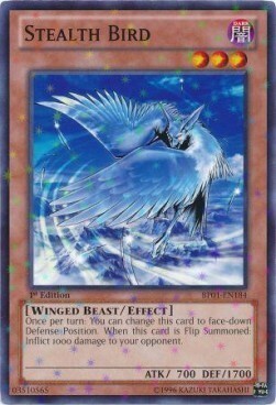 Stealth Bird Card Front