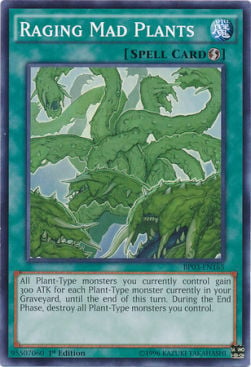 Raging Mad Plants Card Front