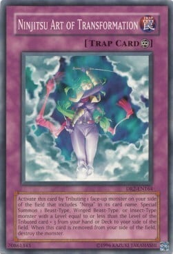 Ninjitsu Art of Transformation Card Front