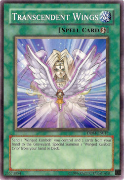 Transcendent Wings Card Front