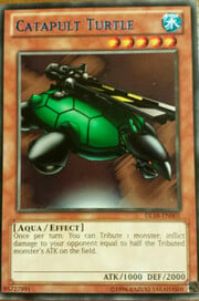 Catapult Turtle