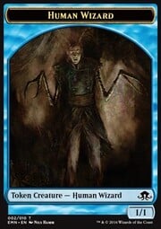 Human Wizard
