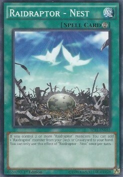 Raidraptor - Nest Card Front