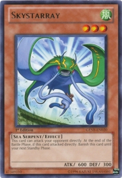 Skystarray Card Front