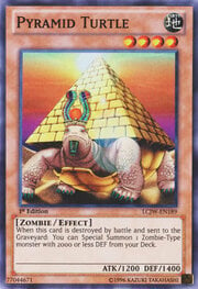 Pyramid Turtle