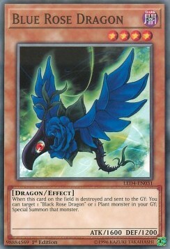 Blue Rose Dragon Card Front