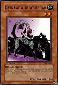 Dark Cat with White Tail Card Front