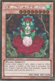 Tytannial, Princess of Camellias