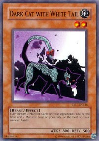 Dark Cat with White Tail Card Front